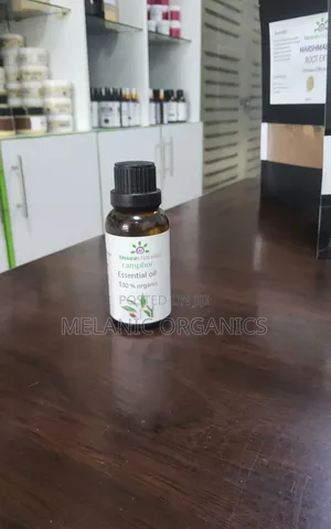 Camphor Essential Oil