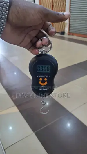 Luggage Electronic Weighing Scale 50kg Electronic Scale