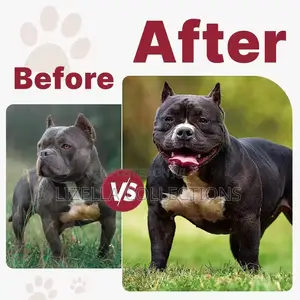 Muscle Gainer Dog Supplements (Immunity, Digestion, Joints)