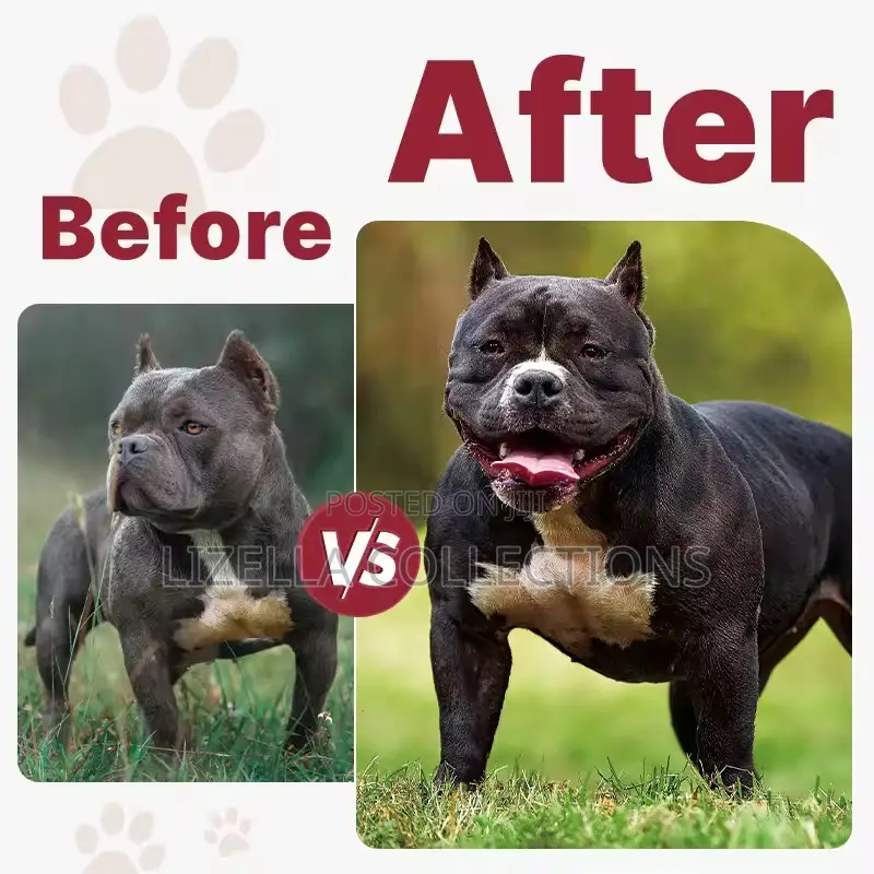 Muscle Gainer Dog Supplements (Immunity, Digestion, Joints)