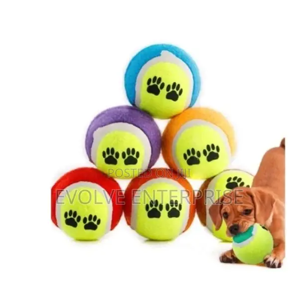 3 Dog Training Mini Micro Elastic Throwing Tennis Ball