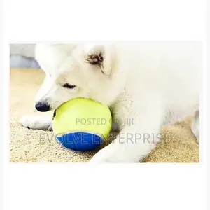 3 Dog Training Mini Micro Elastic Throwing Tennis Ball