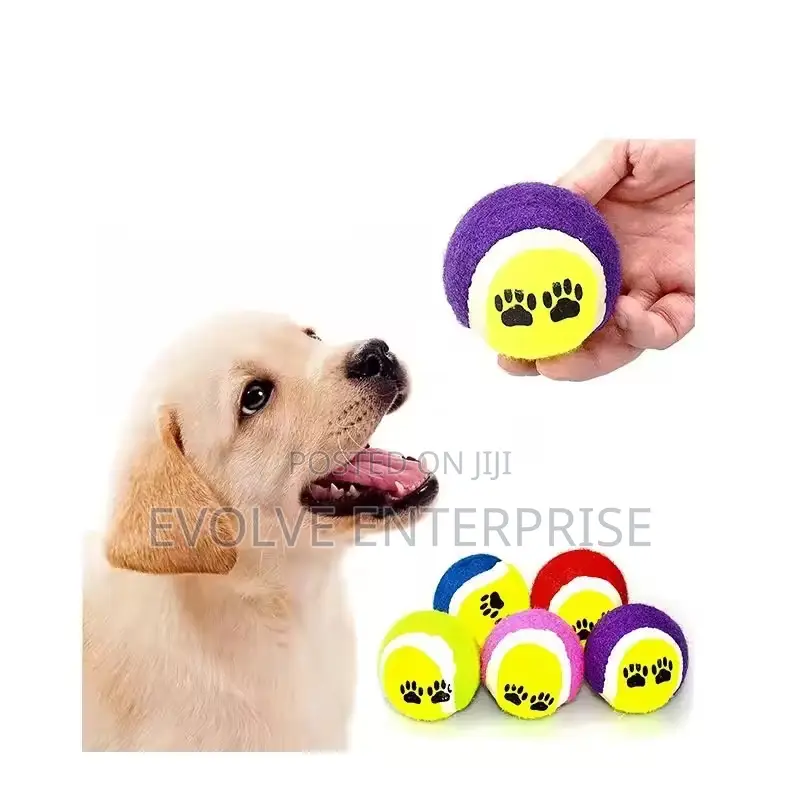 3 Dog Training Mini Micro Elastic Throwing Tennis Ball