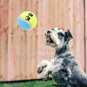 3 Dog Training Mini Micro Elastic Throwing Tennis Ball