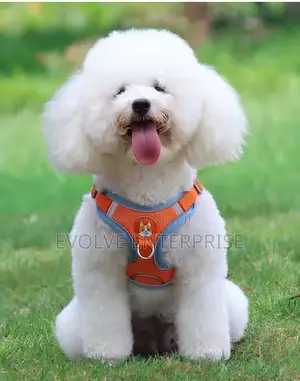 Dog Reflective Harness Dog Leash
