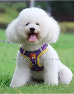 Dog Reflective Harness Dog Leash