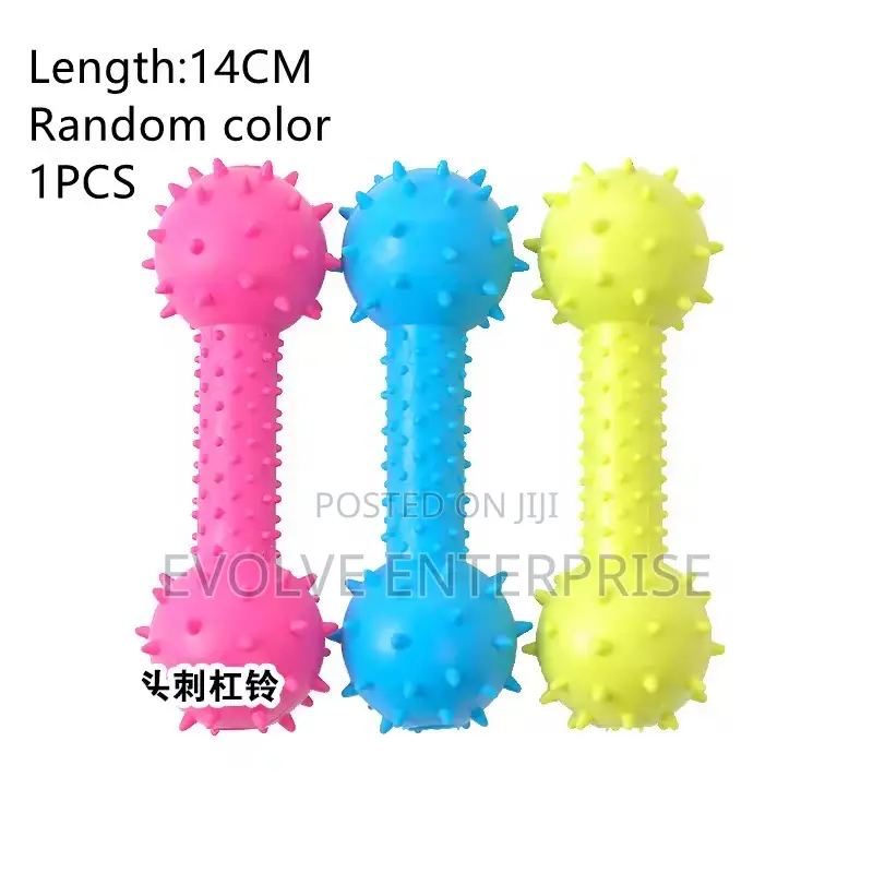 Dog Toys Teddy Puppy Health Chew Interactive Rubber