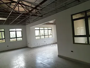 Magnificent Building for Rent