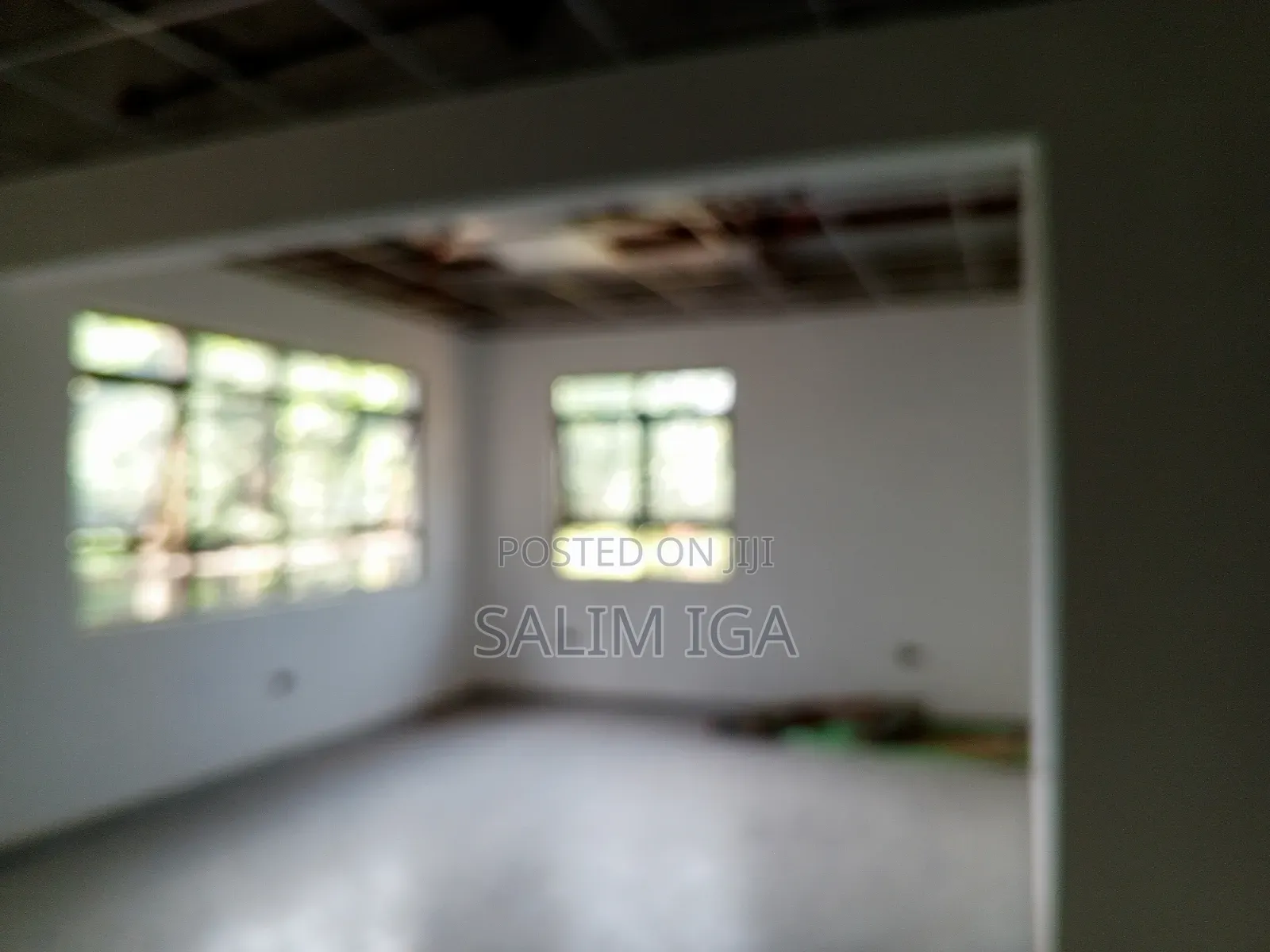Magnificent Building for Rent