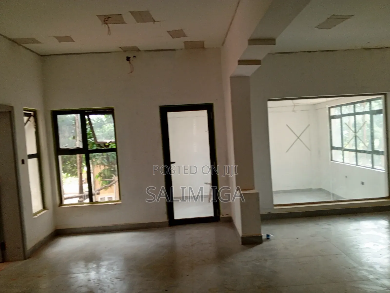 Magnificent Building for Rent