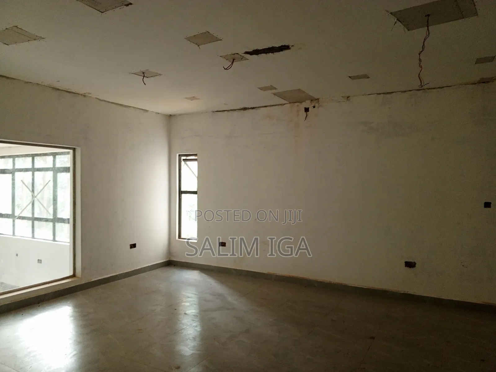 Magnificent Building for Rent