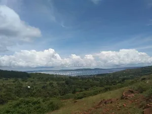 Jinja Lake View Njeru 3 Acres of Land for Sale at 300m
