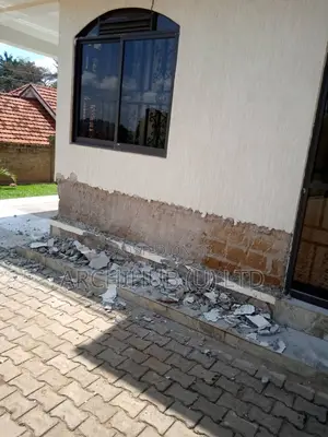 Rising Dampness Solution