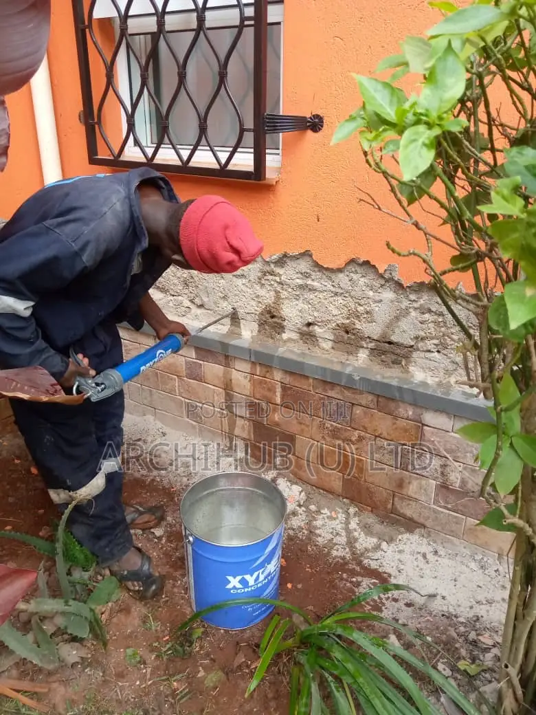 Rising Dampness Solution
