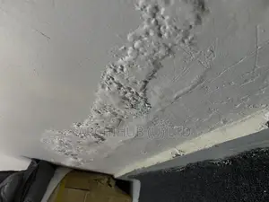 Rising Dampness Solution