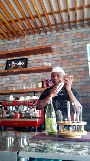 Barista and Bar Tender
