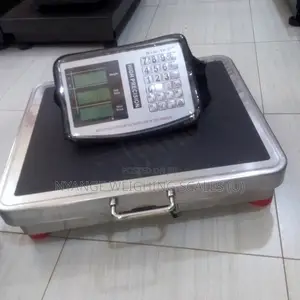 400kg Weigh Heavy Duty Weighing Scale Platform Weighing Scale