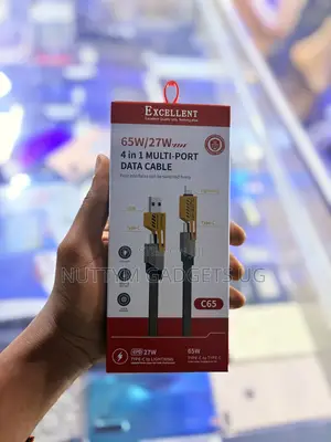 Multi -Port Data Cable
