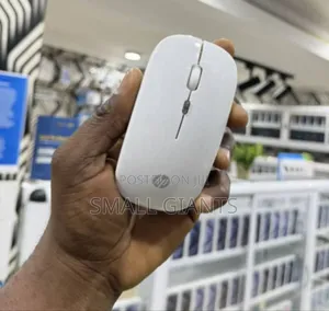 Hp W10 Bluetooth Wireless Dual Mode Mouse