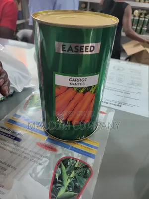 Carrot Seeds 500g