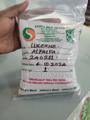 Pasture Seeds Lucerne Alfalfa 1kg