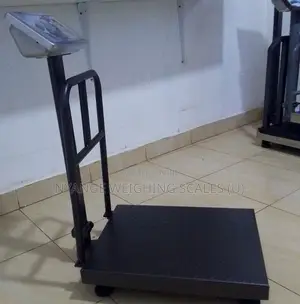 Accurate Weighing Scale 400kg Weigh Electronic Accurate Weighing Scale