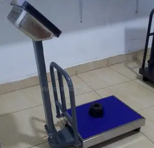 High Accuracy Weighing Scale Stainless Weigh Platform Weighing Scale