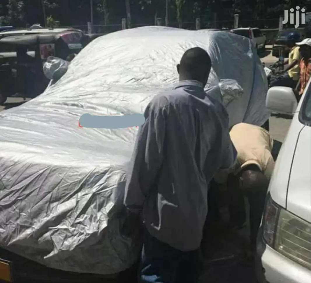 Car Cover Silver Color