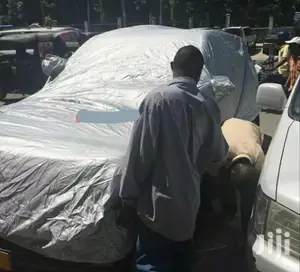 Car Cover Silver Color