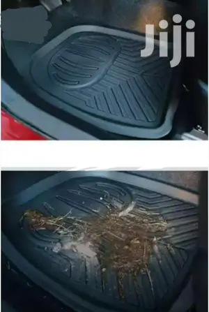Car Carpets Universal