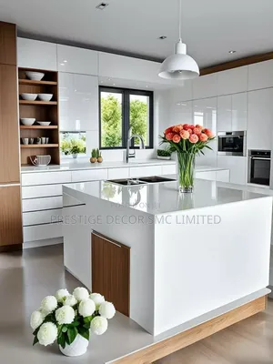 Latest Version of Fancy Kitchen