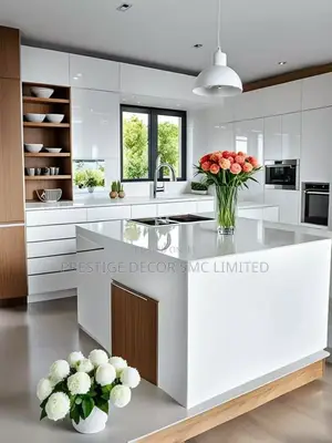 Latest Version of Fancy Kitchen