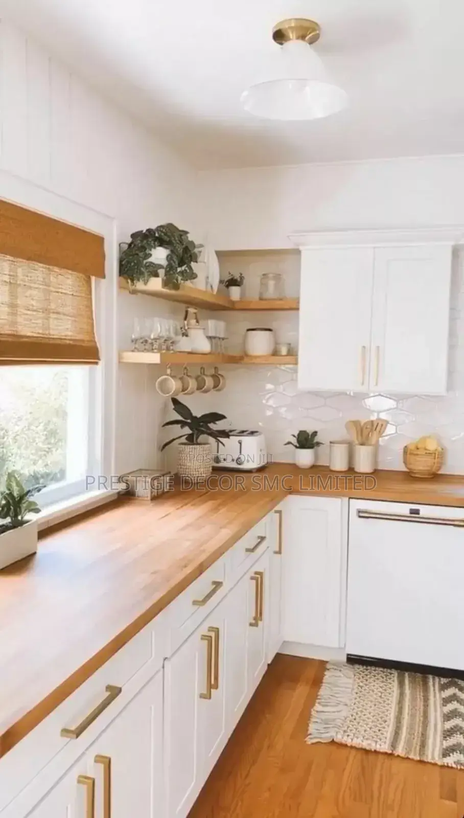 Fancy White Home Kitchen