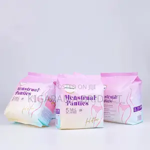 Menstral/Sanitary Panties (5 Pants)