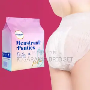 Menstral/Sanitary Panties (5 Pants)