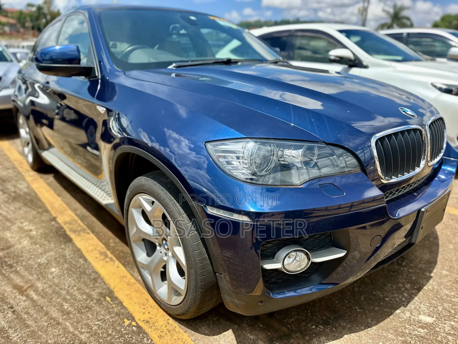 BMW X6 xDrive30d 2011 Blue