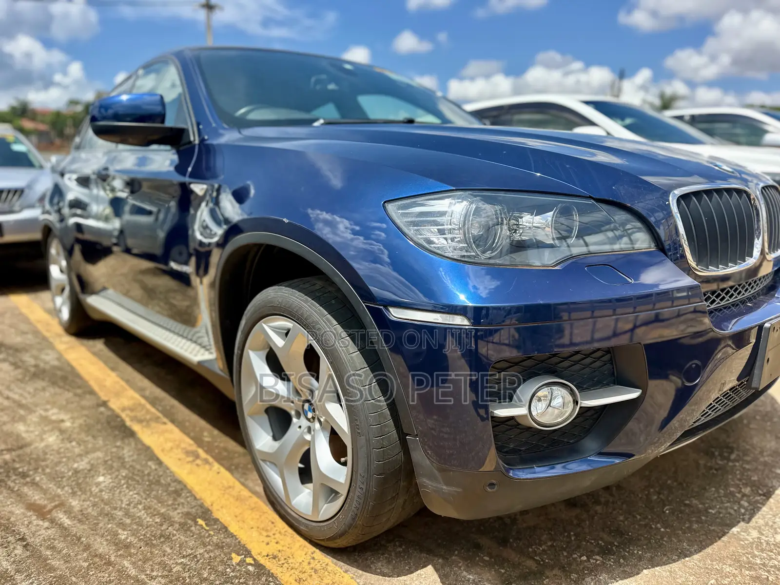 BMW X6 xDrive30d 2011 Blue