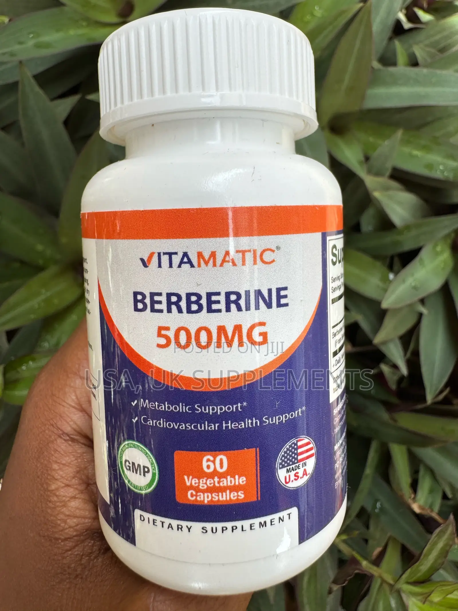 Vitamatic Berberine 500mg 60capsules(Regulate Blood Sugar)