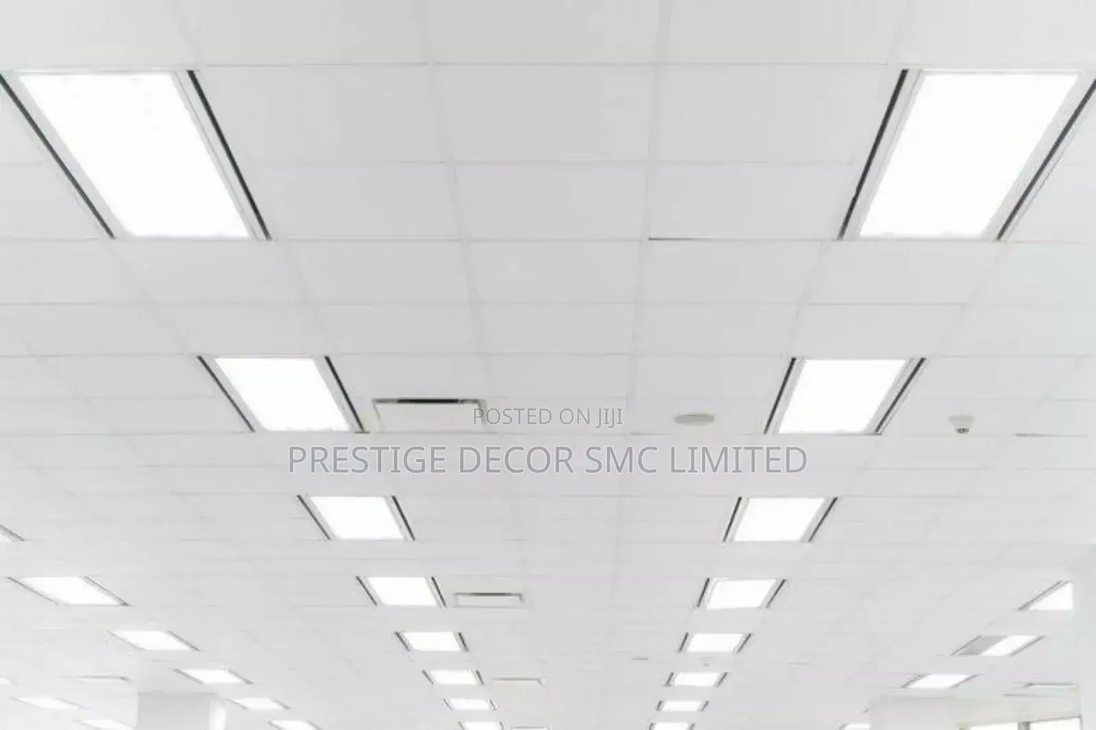 Elegant Suspended Ceiling