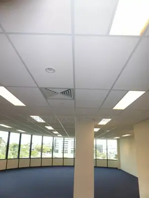 Unique Majestic Suspended Ceiling Design