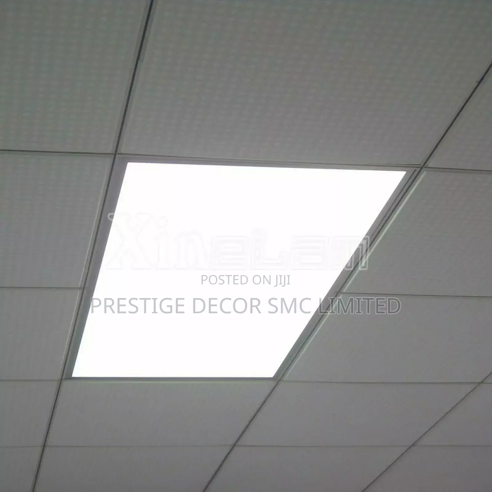 Fantastic Ceiling Suspended Decor