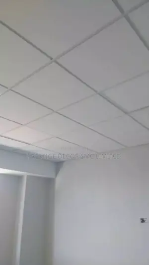 Simple Suspended Ceiling
