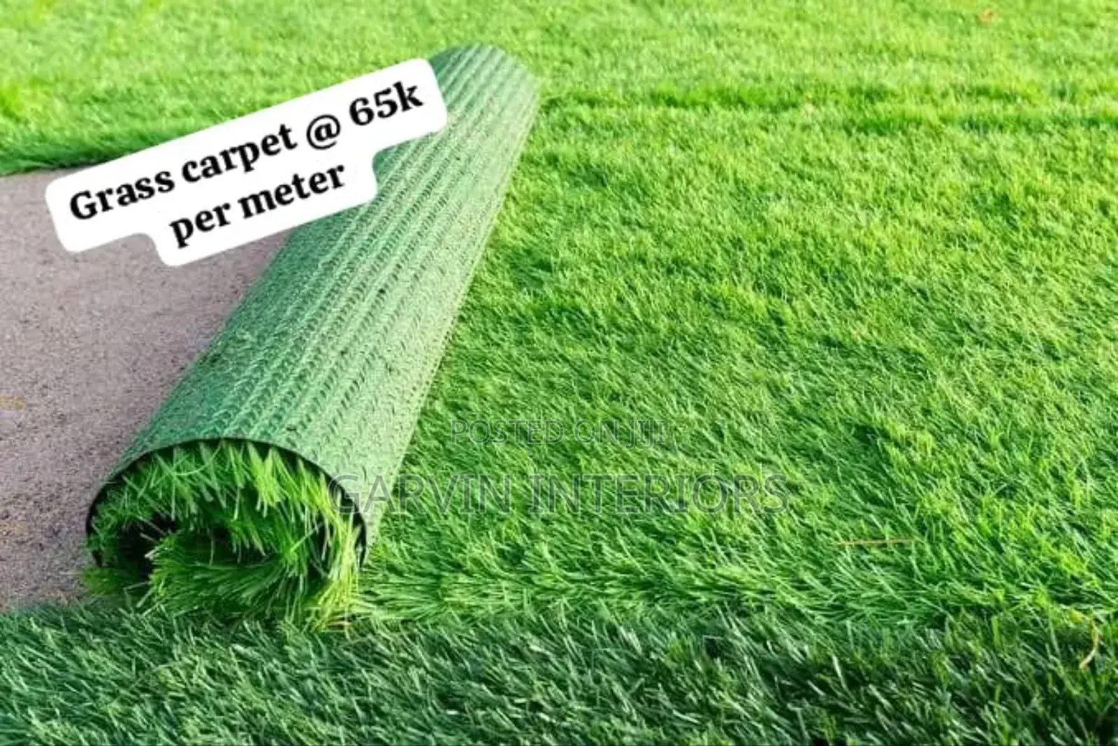  Per Meter Grass