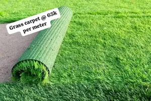  Per Meter Grass