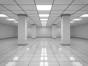 Suspended Ceiling World Class Version