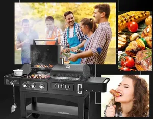 2 in 1 Commercial Luxury Gas Grill + Charcoal BBQ Grill