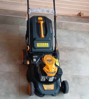 Mower / Lown Care Services