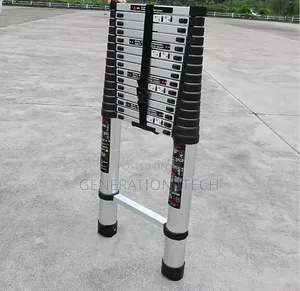 Telescoping Aluminium Ladder for Outdoor Home Work -2m