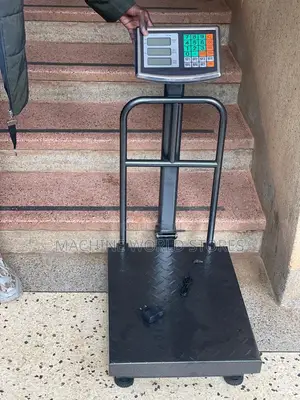 250kg Electric Weighing Scale