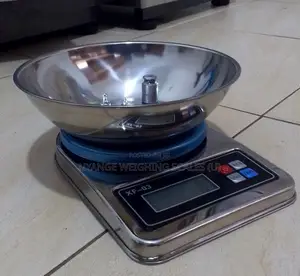 Hot Sale Digital Portable Kitchen Weighing Scale (Dg42f)
